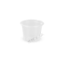 501390 - Shamrock Clear T100 Container