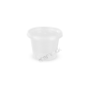 501390 - Shamrock Clear T100 Container