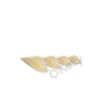 758093 - Pine Cone X - Large