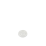 501298 - Shamrock SC RPET Lid